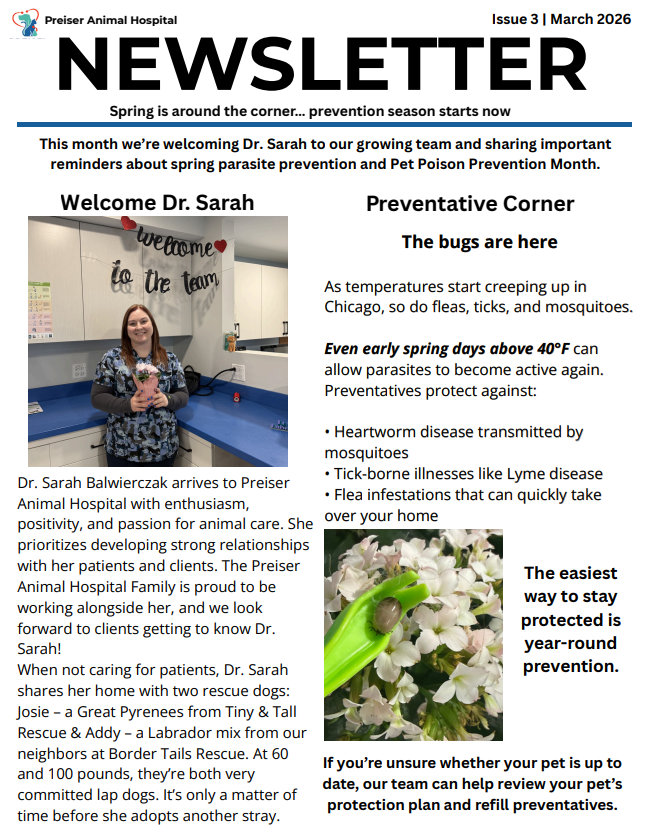 Feb newsletter