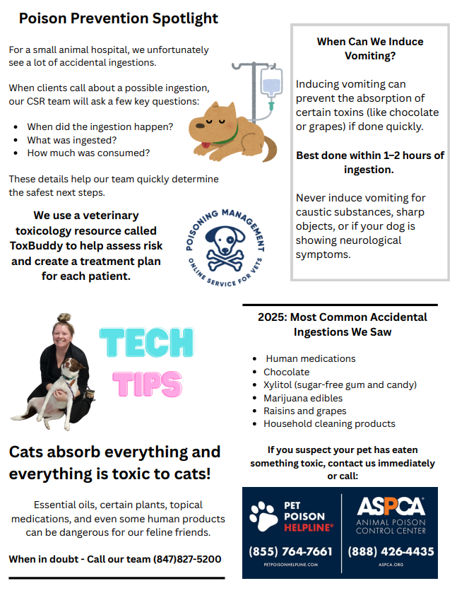 Feb newsletter