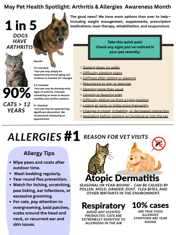 Feb newsletter