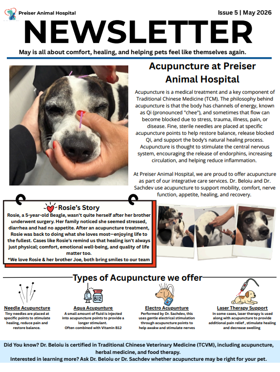 Feb newsletter