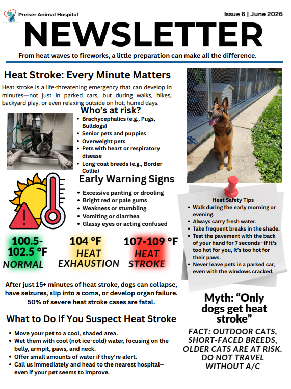 Feb newsletter