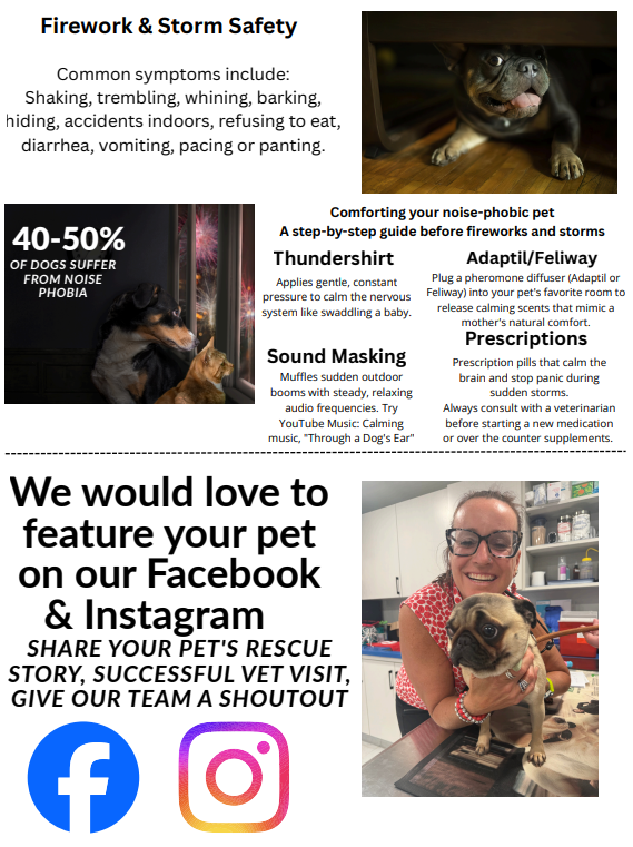 Feb newsletter